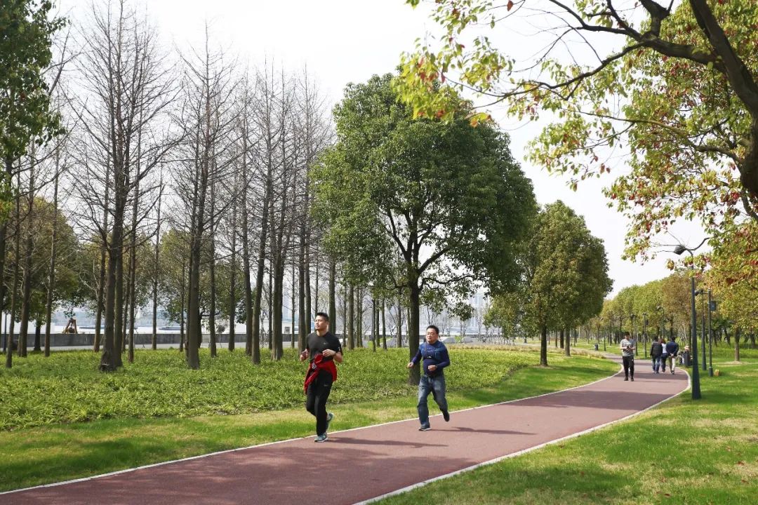 亦境那些人 | 姚素梅的绿化设计之路-31