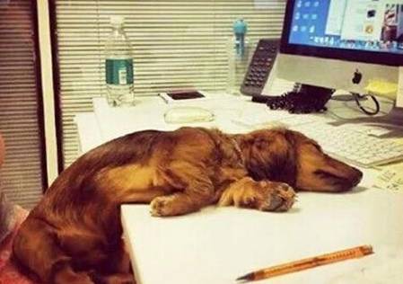 环境艺术设计 | 技术与艺术的完美结合-81