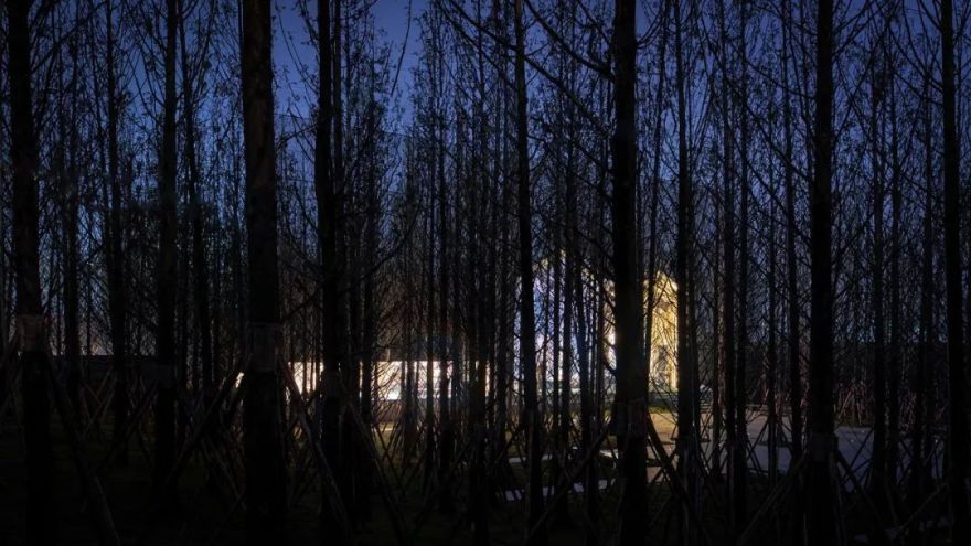 “重庆森林” | 重庆万科森林公园-31