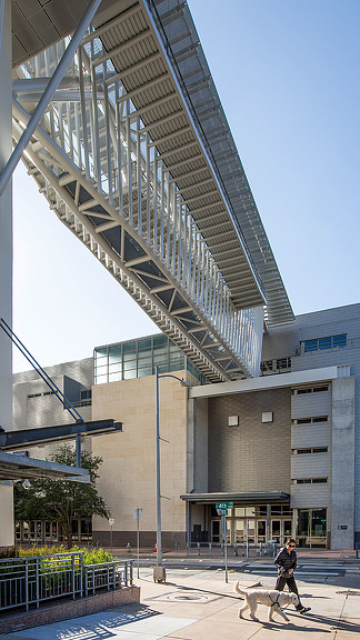 Austin Hilton 天桥-3