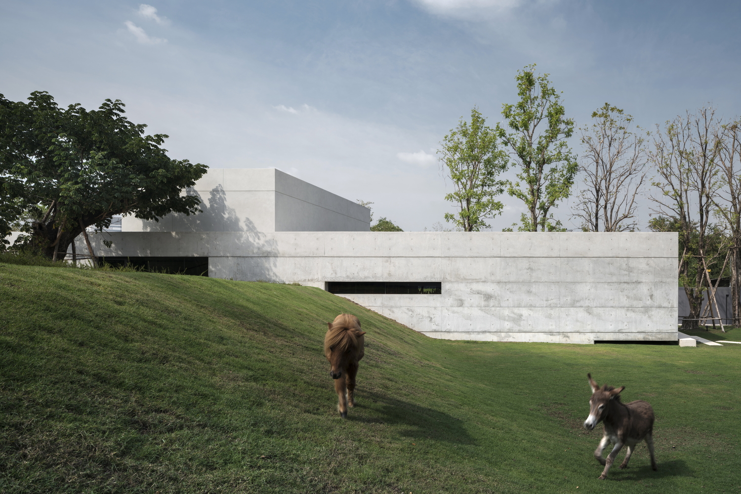 美国扭曲的房屋-10