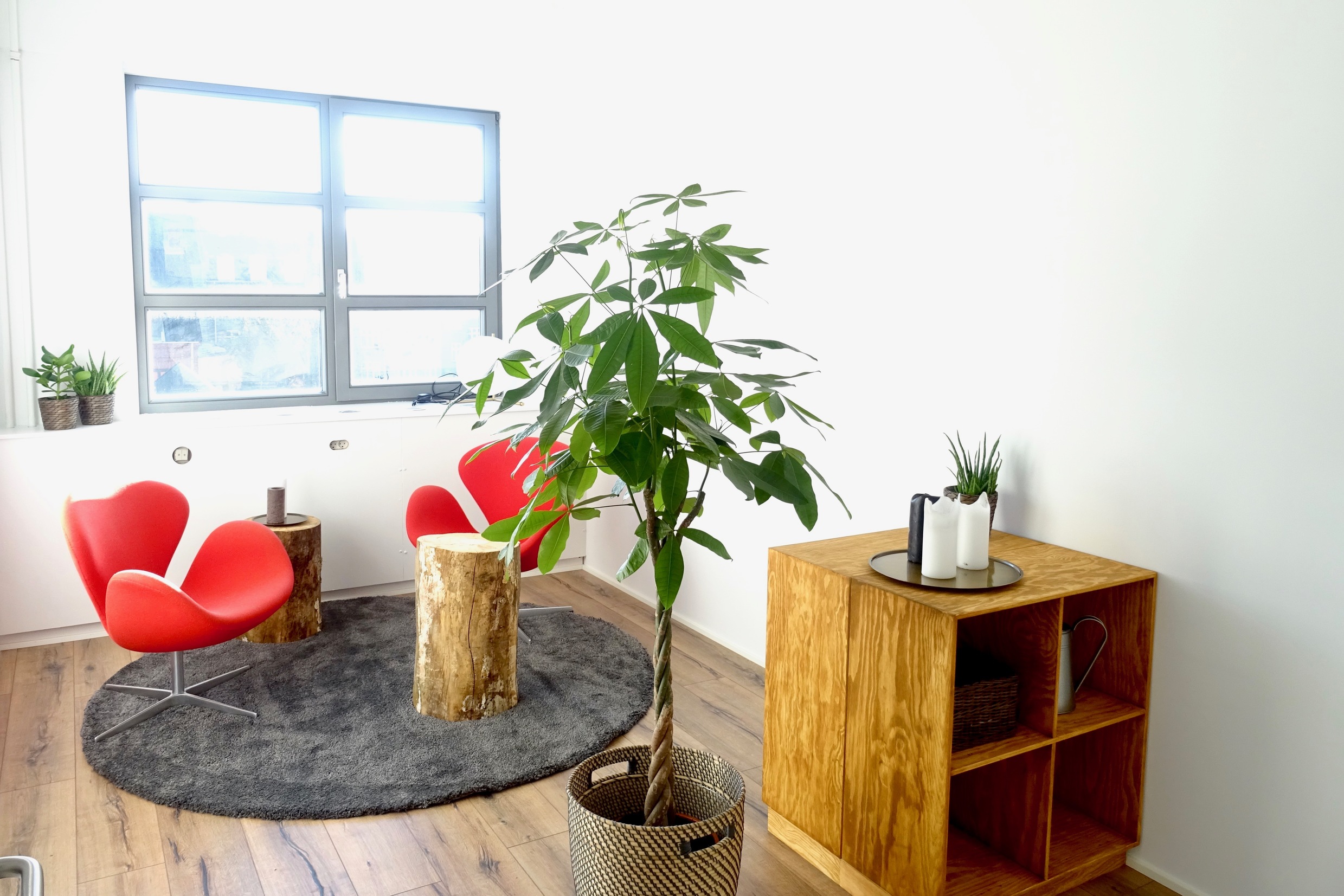 北欧健康之家-16