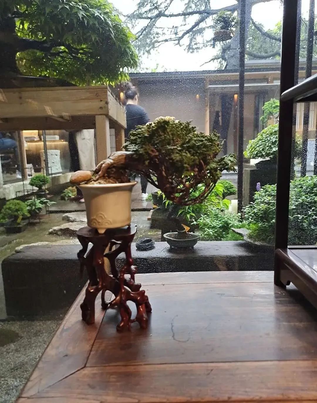 郊区“同居式”养老生活 | 自由、快乐、充实-31