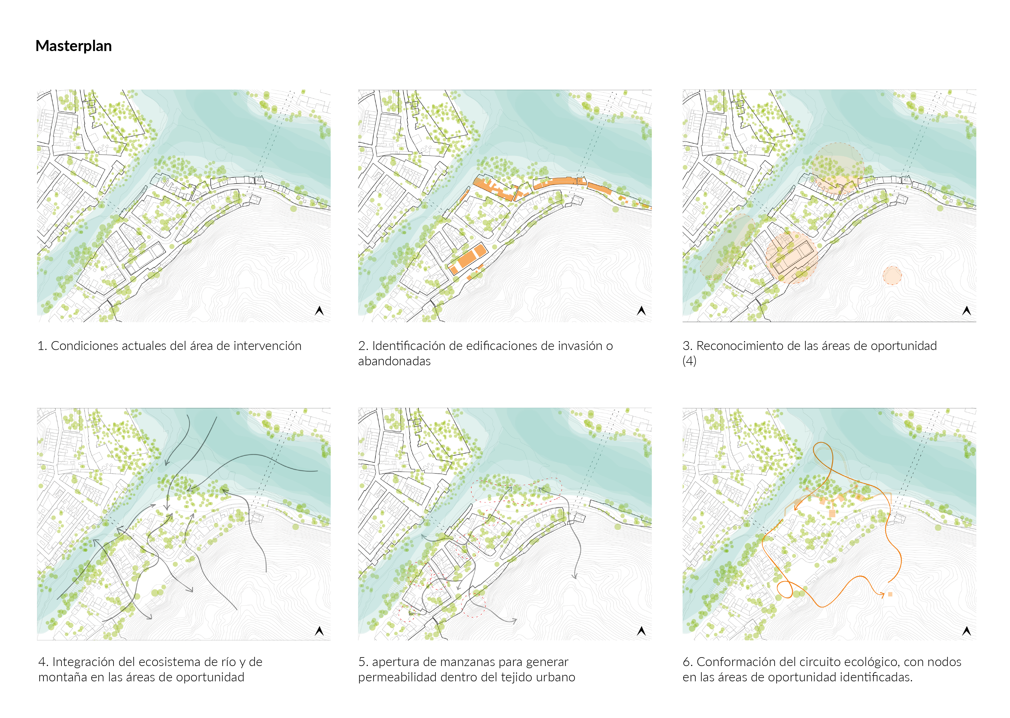 Honda: un ecotono en sinfonía-3