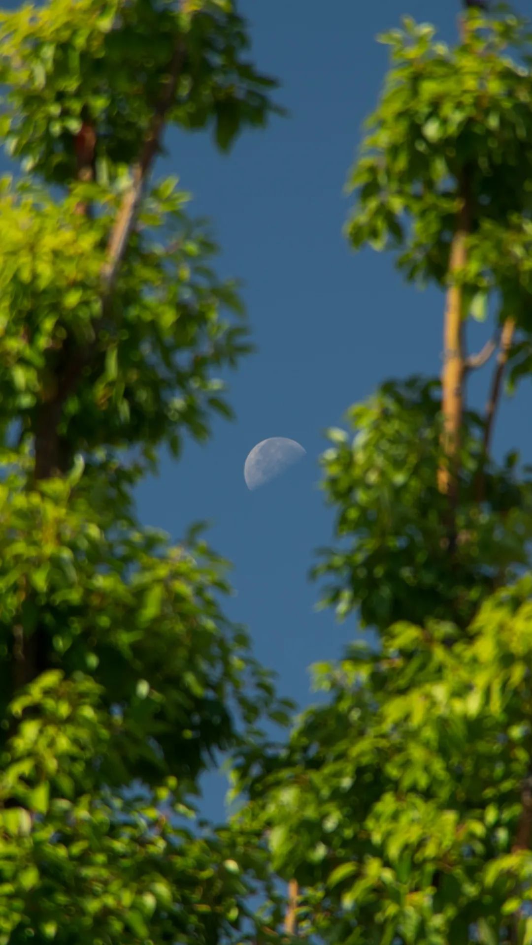 云东境·禅奢疗愈酒店丨中国徐州丨GAD杰地设计,ZSD卓时设计-128