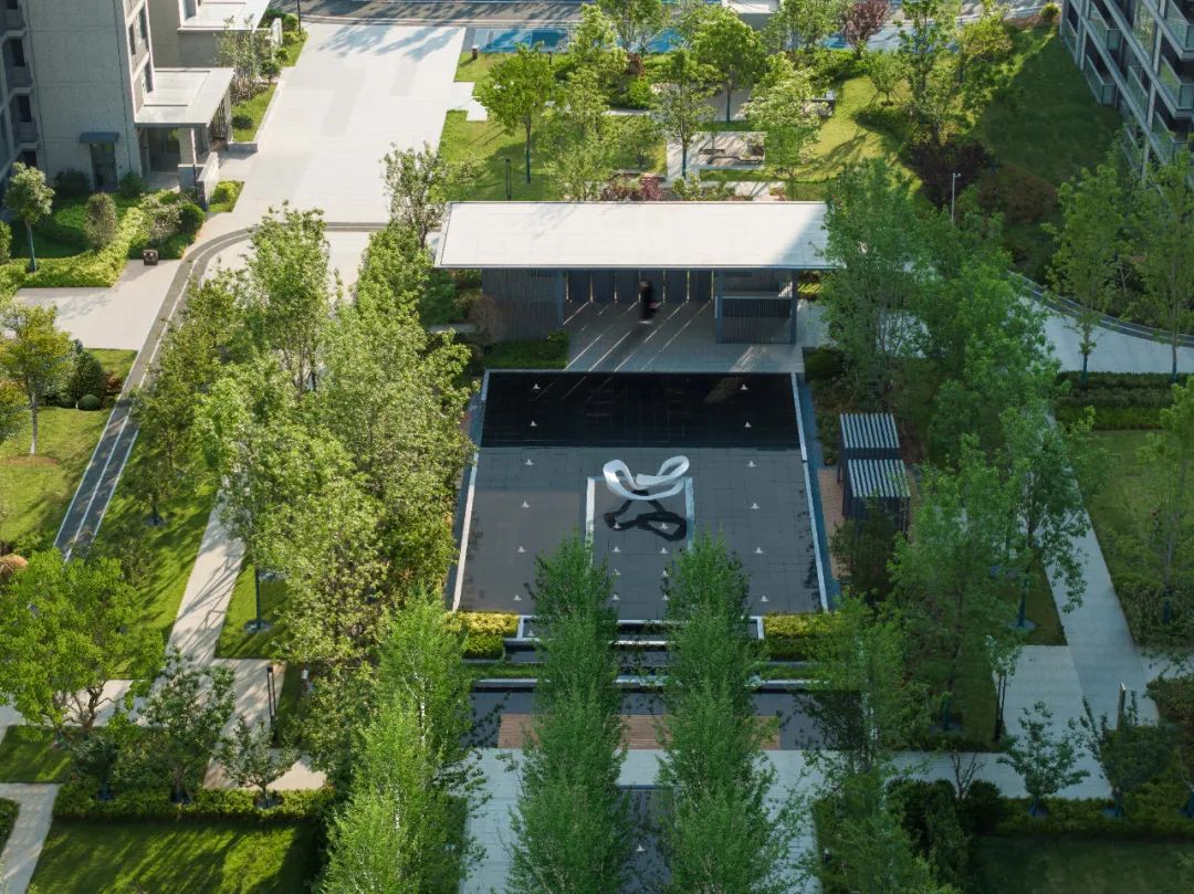 中交·楼山春晓·青岛丨中国青岛丨麦田景观-16