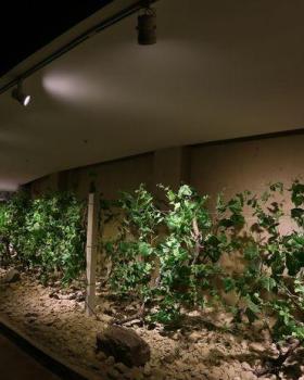 宁夏贺兰山东麓葡萄酒博物馆