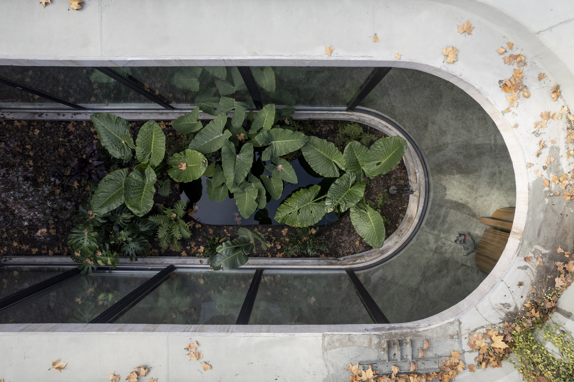 X 房子丨阿根廷丨Estudio Geya-48