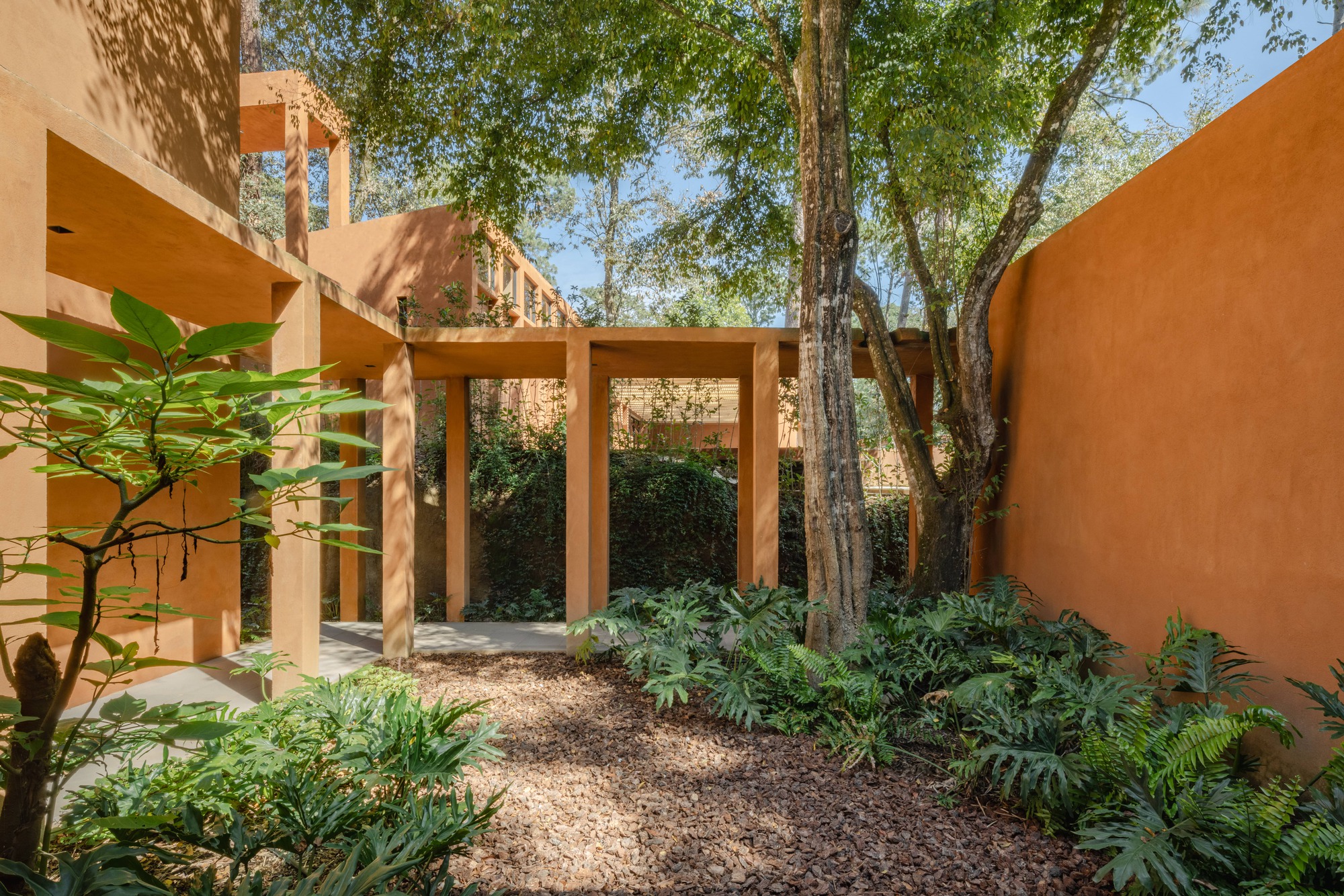 弗隆达尔宅邸丨墨西哥丨Taller MRD-17