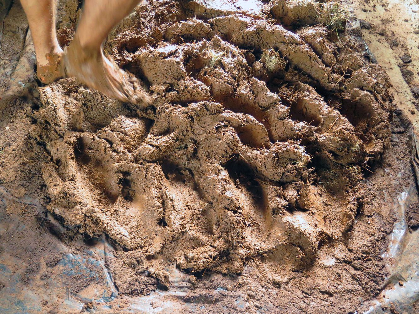 OC 之家丨哥斯达黎加丨Re Arquitectura + DAO-21