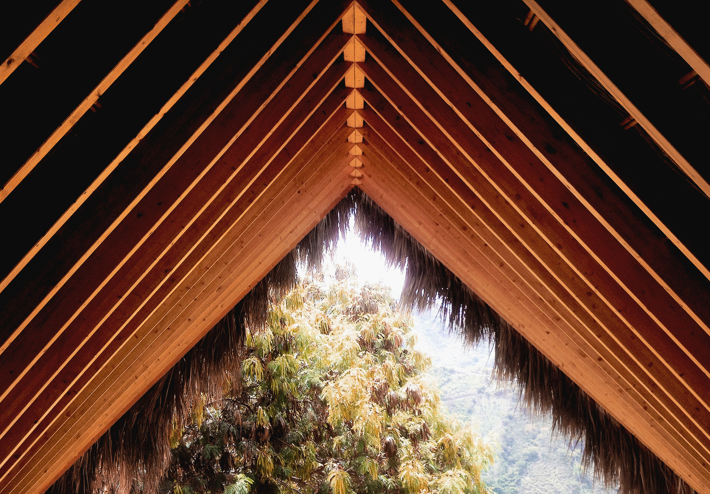 阿普罗的安泽利尼·加西亚阿格拉住宅-28