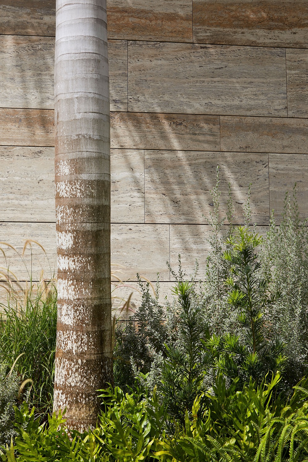 house in the caribbean-7