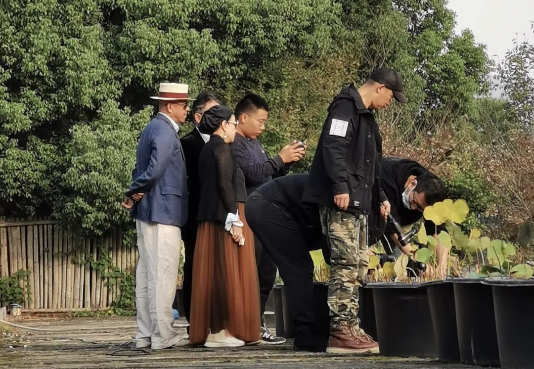 《莲颂》数字影像专题片丨中国杭州丨杭州国美建筑设计研究院有限公司-13