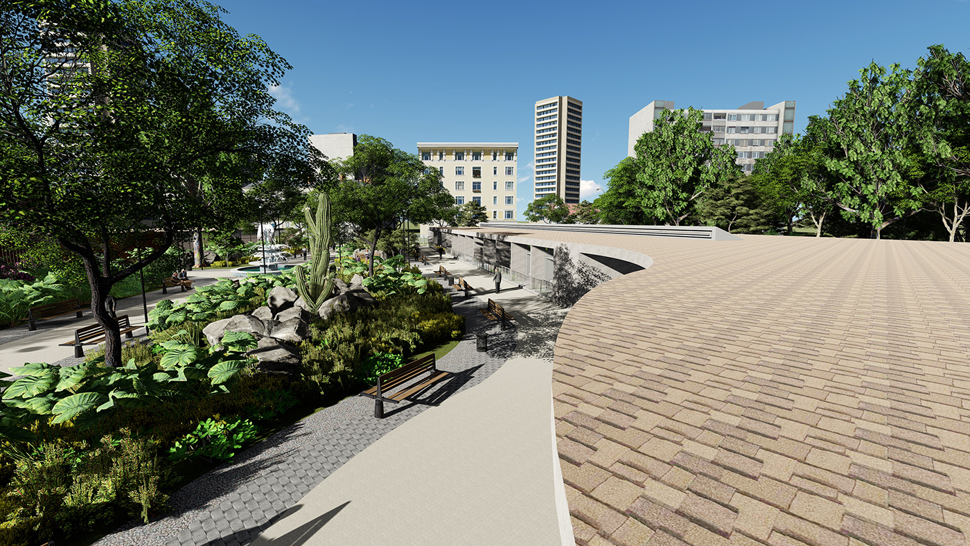 巴西圣多明戈社区老年医学与物理治疗诊所设计-10