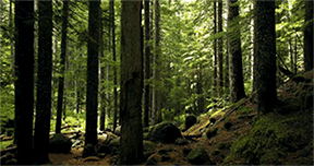 北京·梵悦108西塔样板间软装设计丨中国北京丨纳沃设计-47