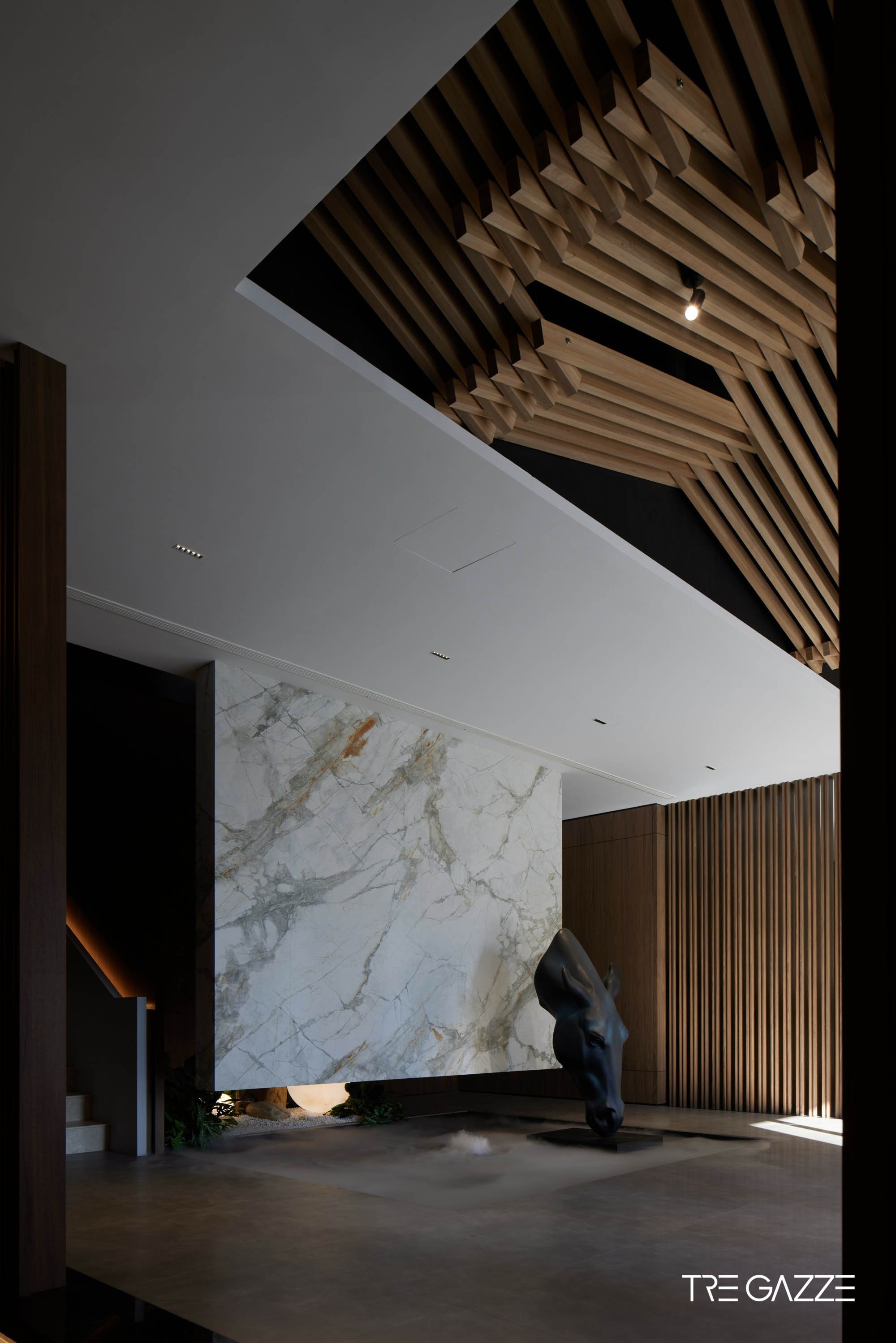 鹊临潍坊｜自然共生空间诗篇丨中国潍坊丨三只喜鹊-11