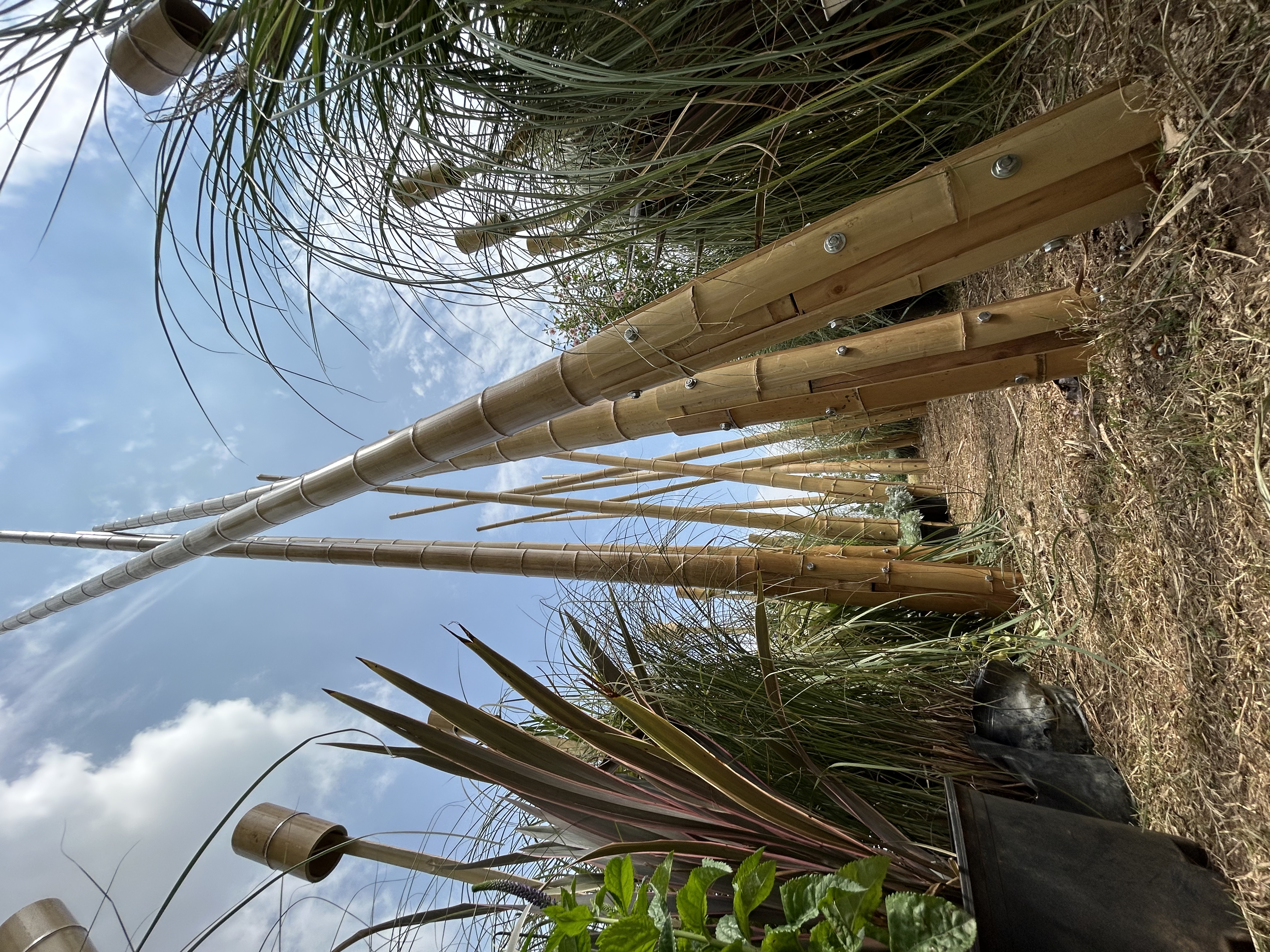 竹林丨中国成都丨Atelier Folie（北林风景建筑研究中心）-30