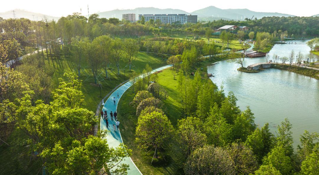 襄阳襄水岸线修复生态提升丨中国襄阳-15