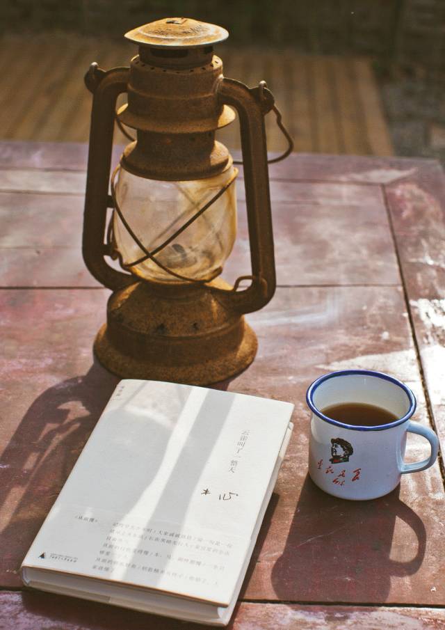 院子改造这样才叫美，配上老砖墙，更带感!-91