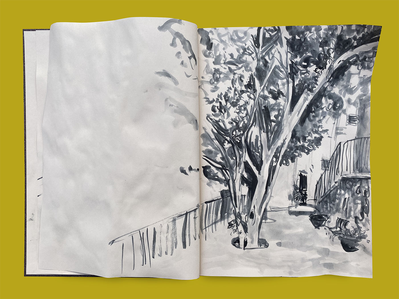 世界上的树木丨Sylvie D.-125