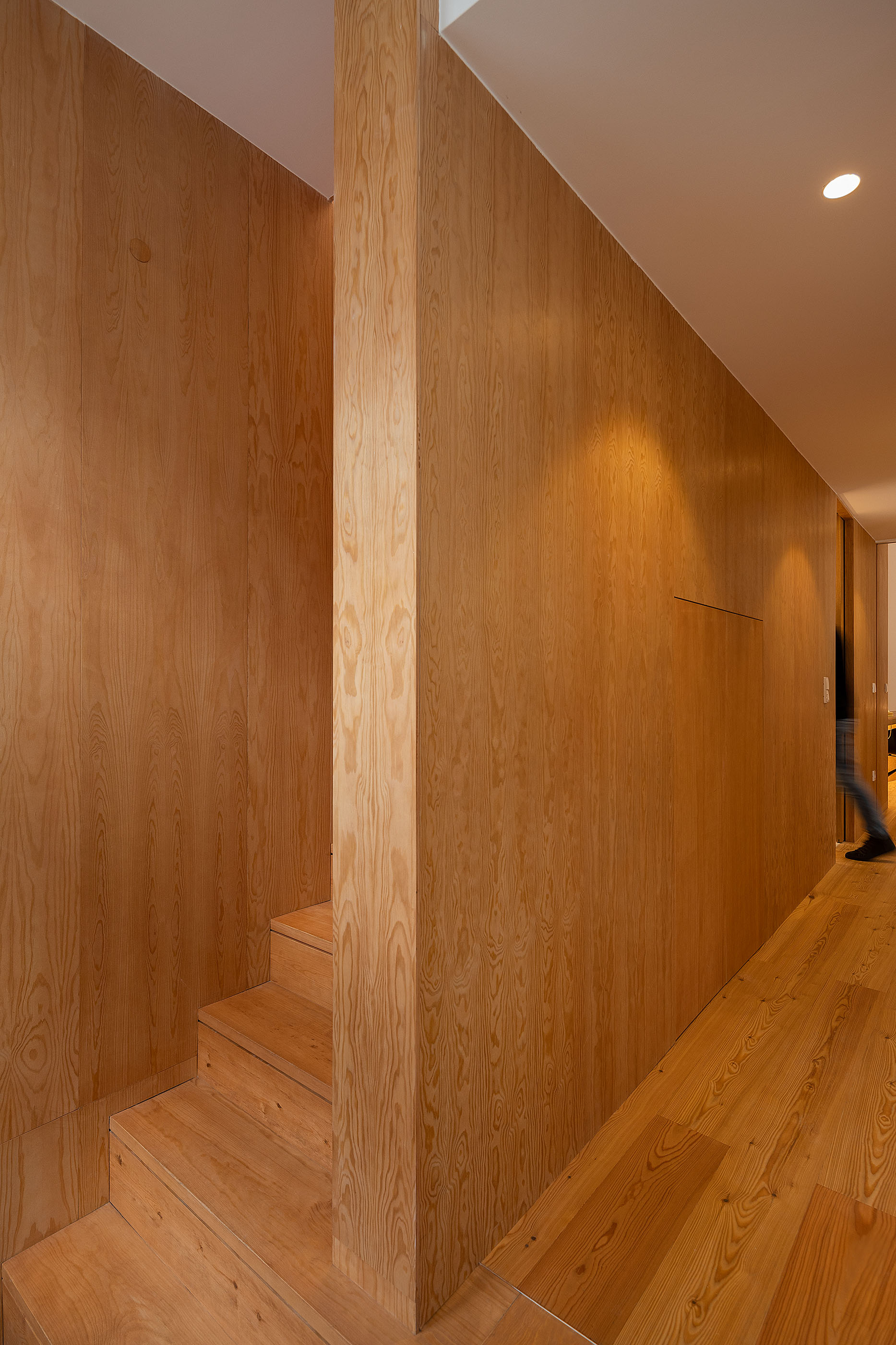 卡萨杜斯奥莱罗斯住宅 Casa dos Oleiros / PAULO MARTINS ARQ&DESIGN-19