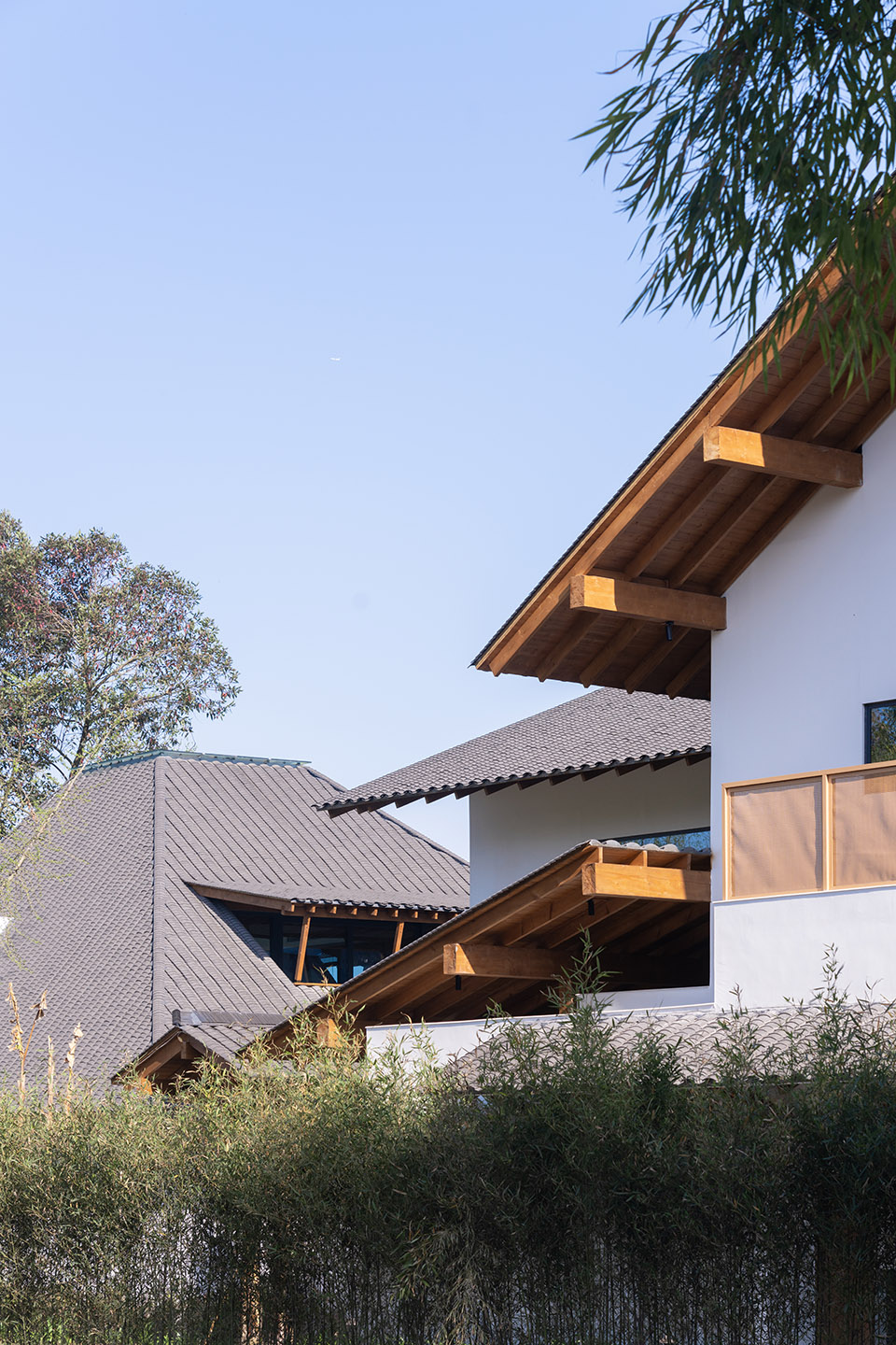 OFFICE真相专辑 NO.53 & 小隐建筑-381