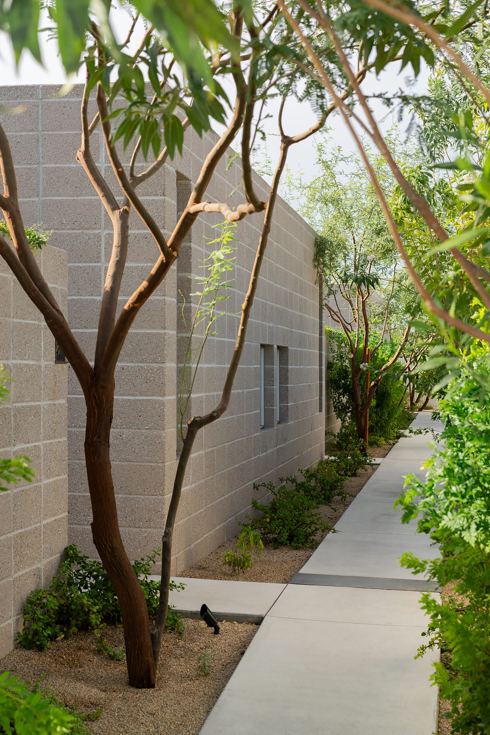 棕榈隐居处丨美国丨Benjamin Hall Design-29