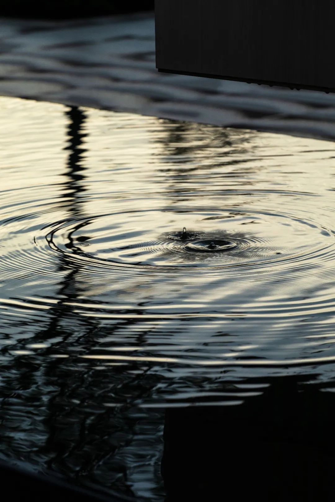 棠源美宸里&春樾星宸丨中国杭州丨ZSD卓时设计-0