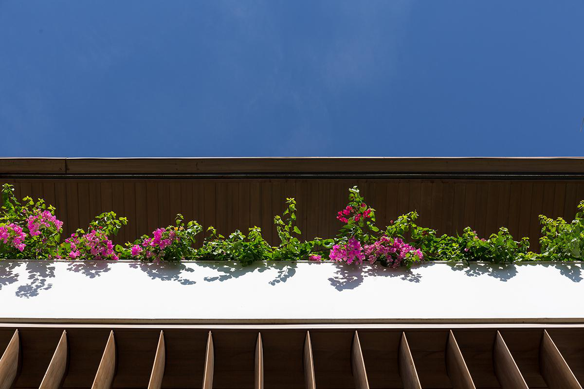 河畔宅邸 / 河边房屋-14