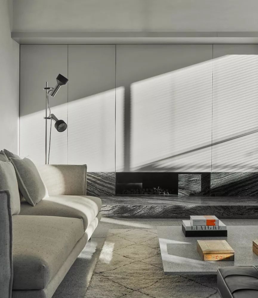 Davidov Architects | 住宅与公共概念的融合-34