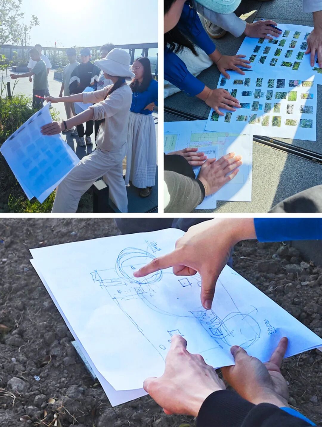 张唐探索|孤芳自赏的勇气——有.园张唐景观屋顶花园一年更新-21