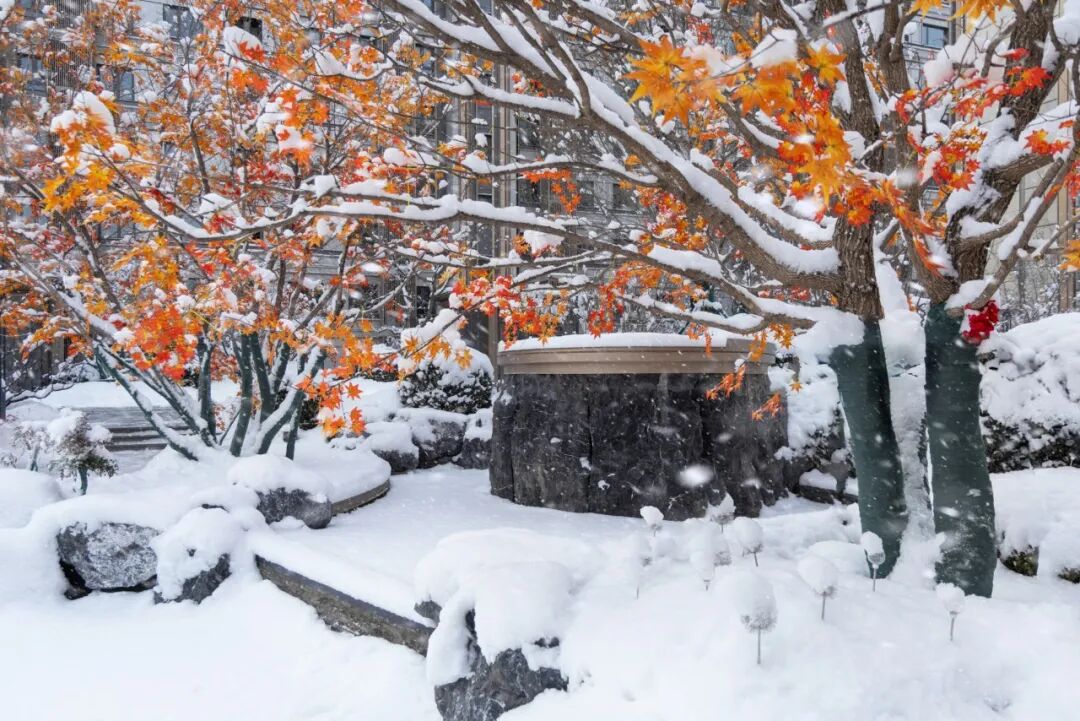 北京·中海·翠湖玖章丨中国北京丨麦田景观-5