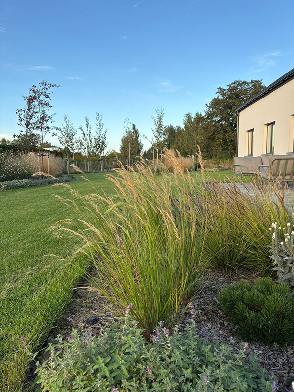 充满轻盈与和谐的花园设计-11