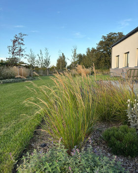 充满轻盈与和谐的花园设计