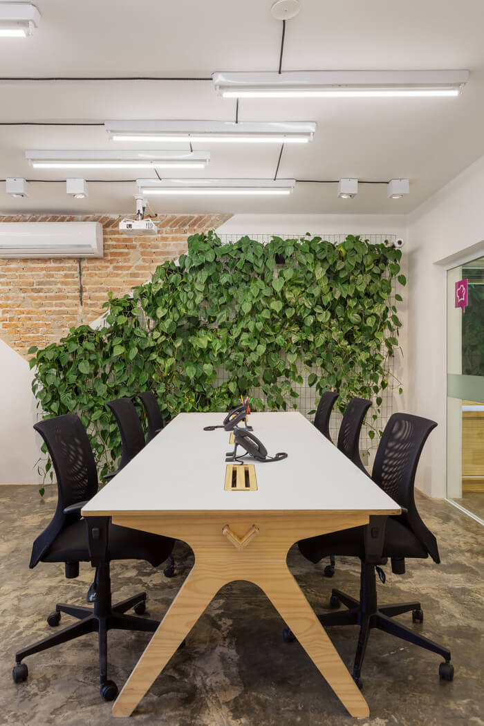 这间水泥办公小楼有个小花园-4