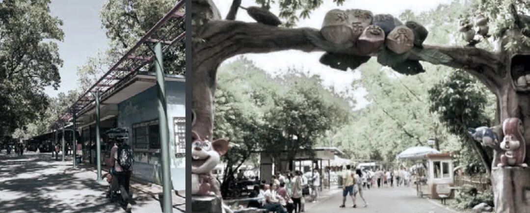 十一赏景别错过！华南国家植物园[绿美广东物种展示园]-24