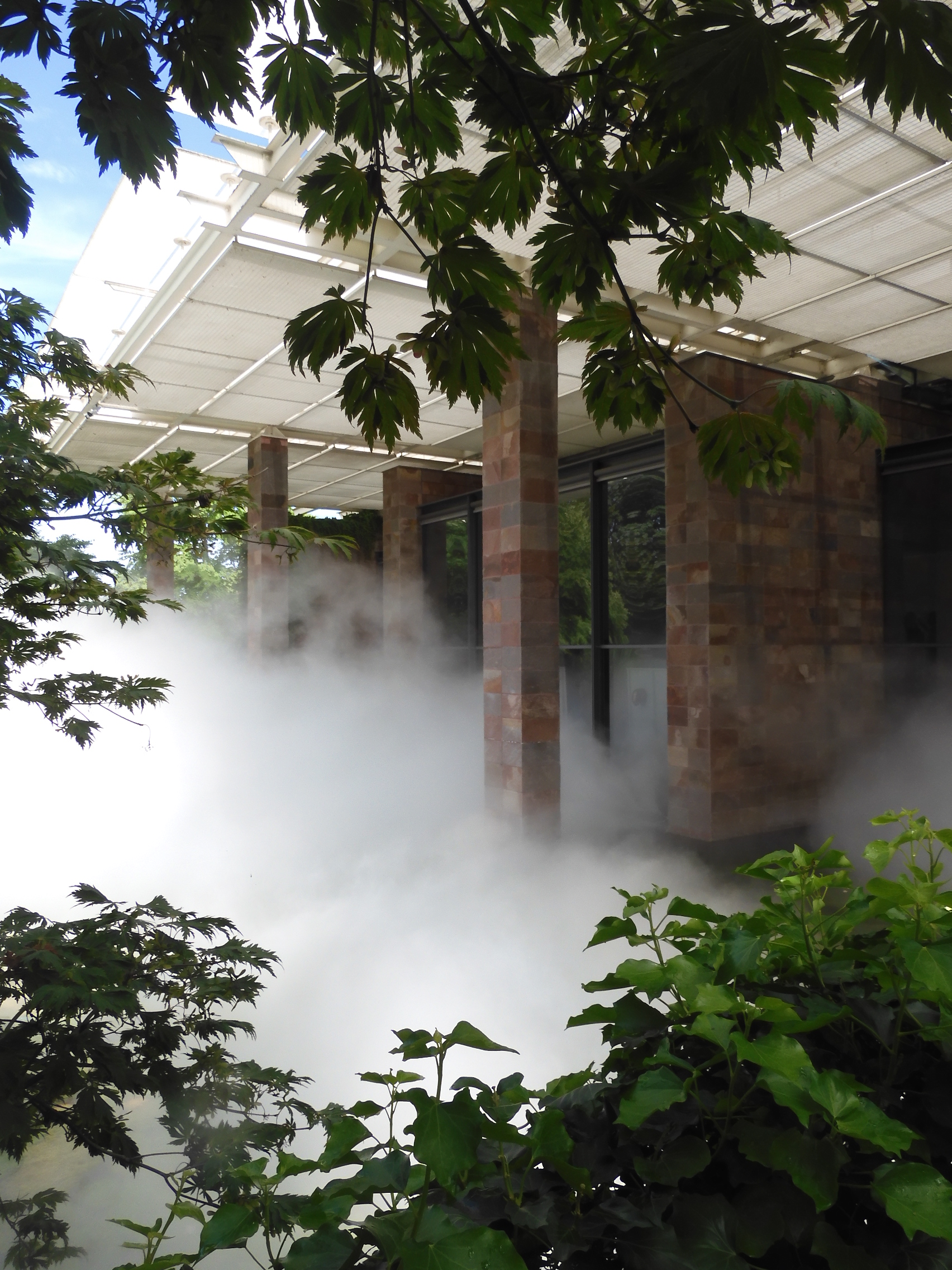 丨瑞士丨艺术家,策展人,科学家等多方人员-1