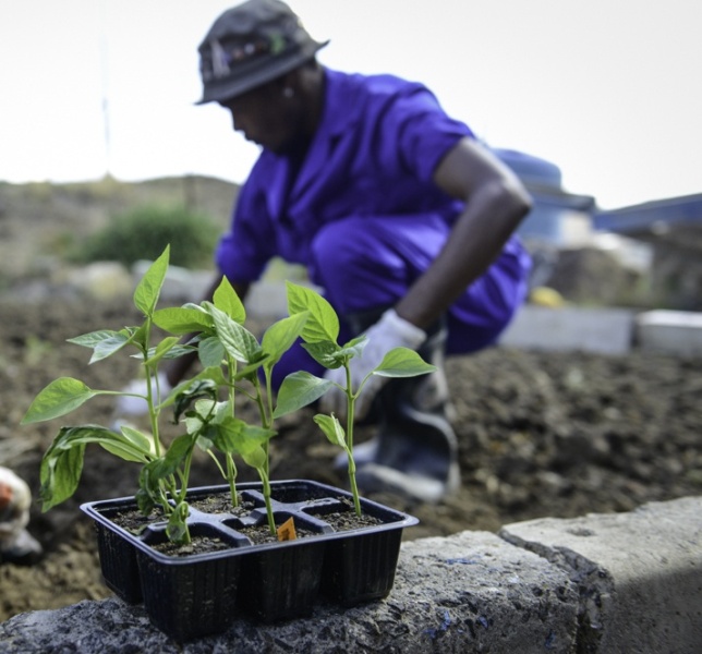 丨莱索托马塞卢-65