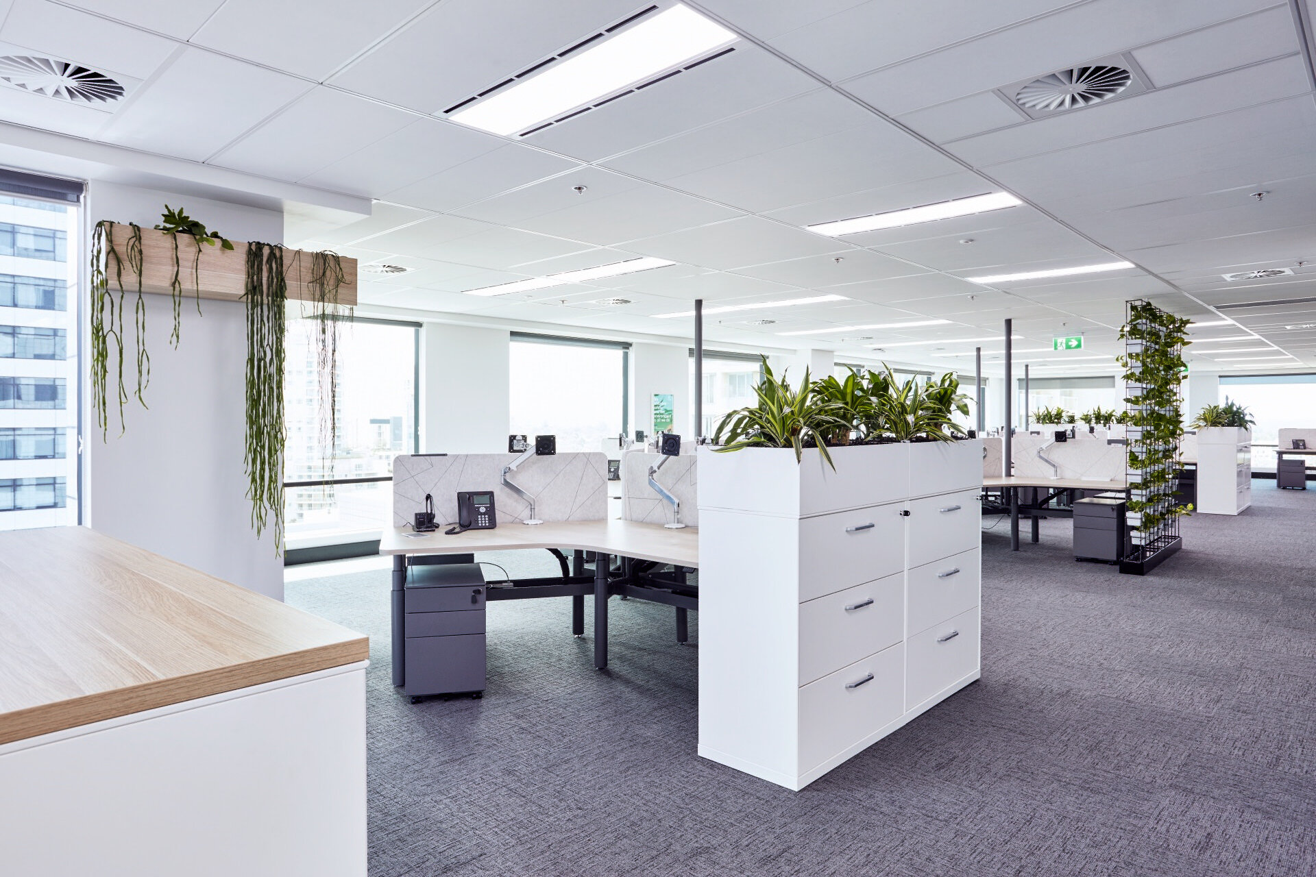 Agriscience Organisation | Open Workspaces | Futurespace-6