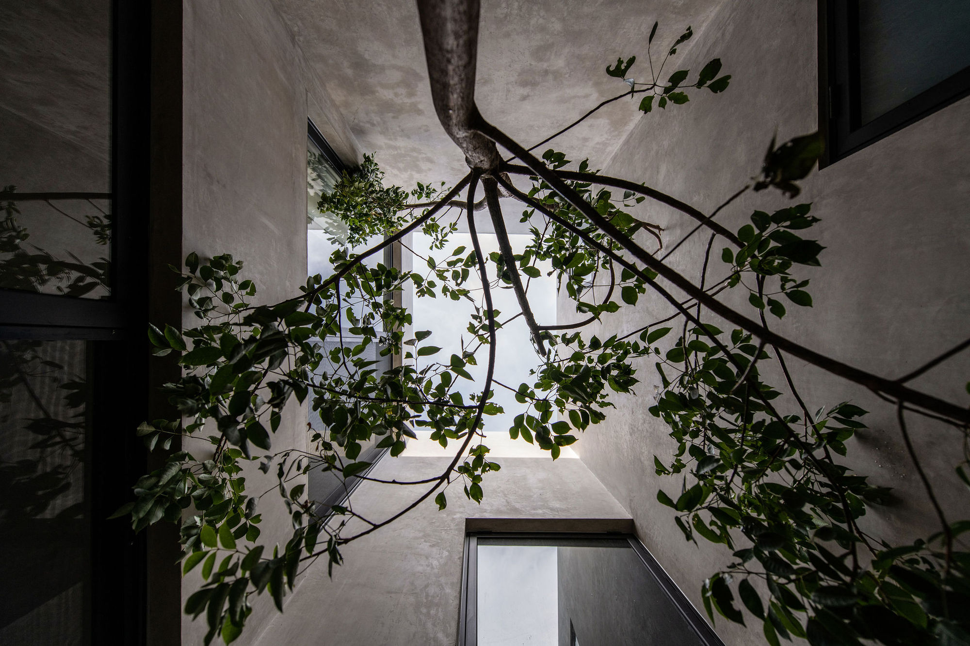 Empírea House / TACO taller de arquitectura contextual -48