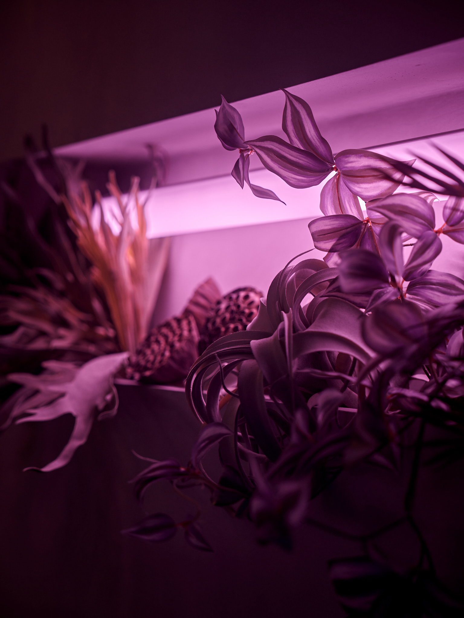 中型休息室丨俄罗斯莫斯科-11