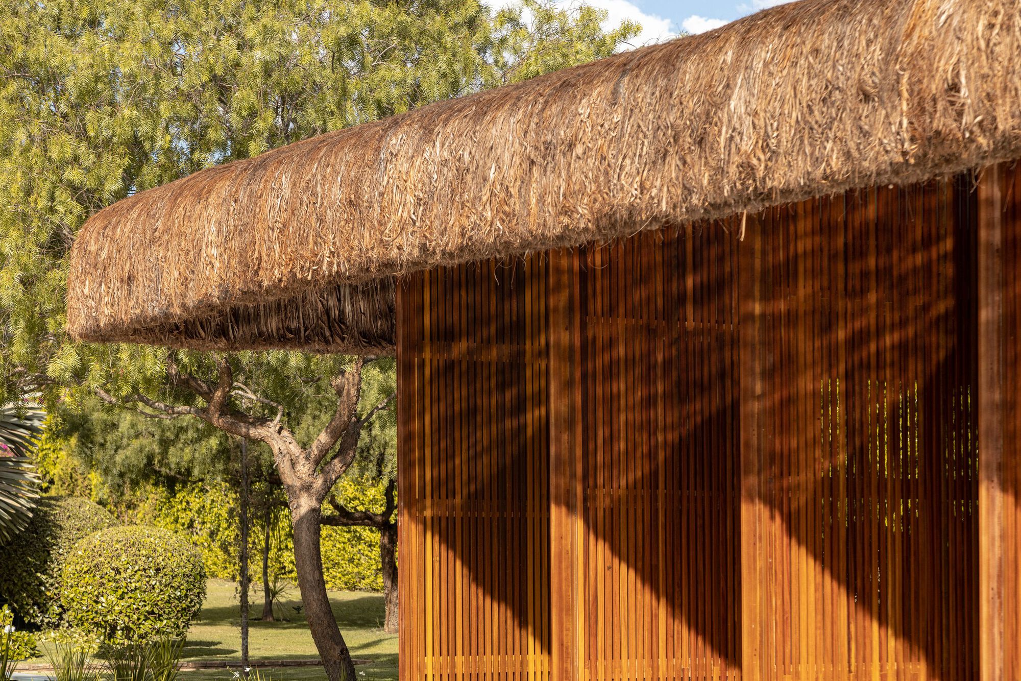 项目三 6 2丨巴西丨Debaixo do Bloco Arquitetura-35