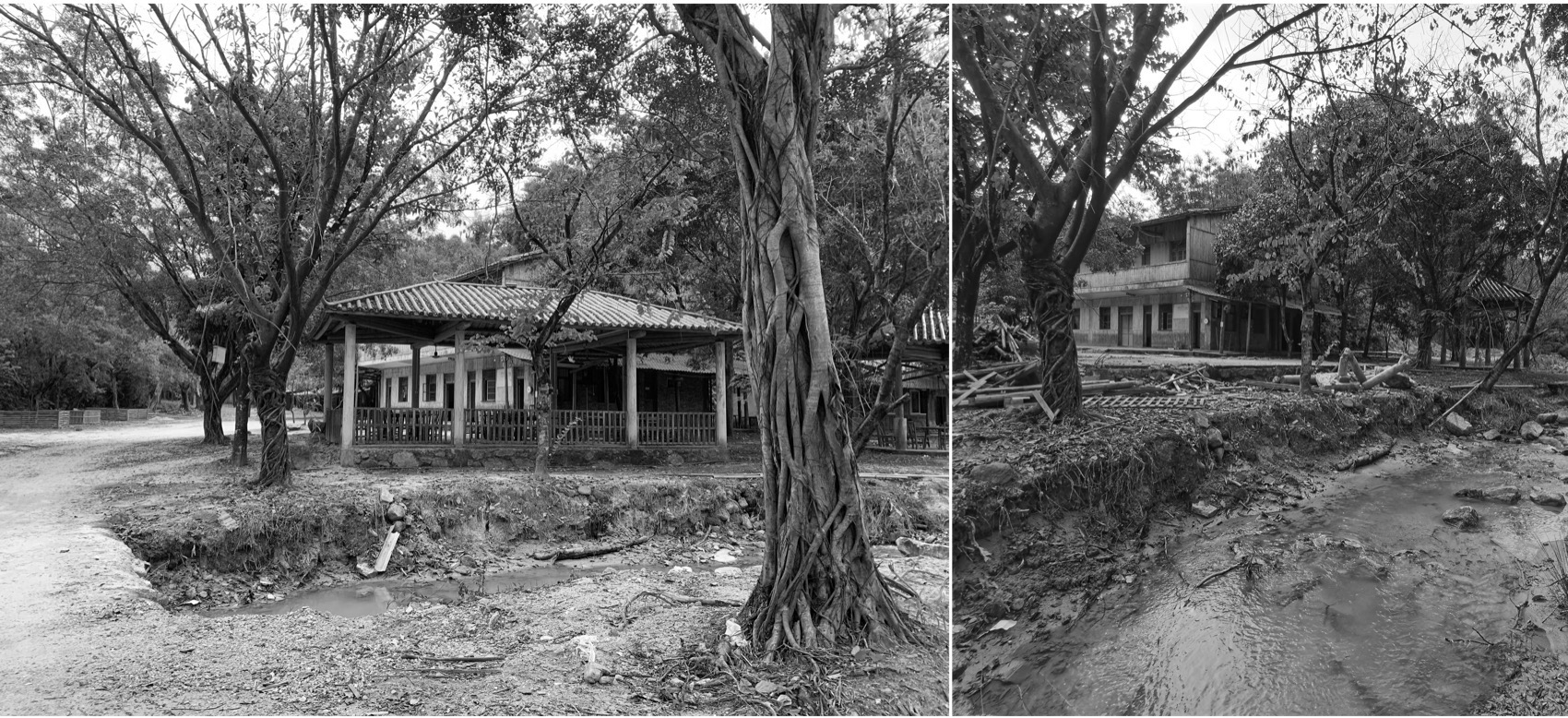 蝶的森林民宿丨中国广州丨广州城外建筑设计有限公司-10