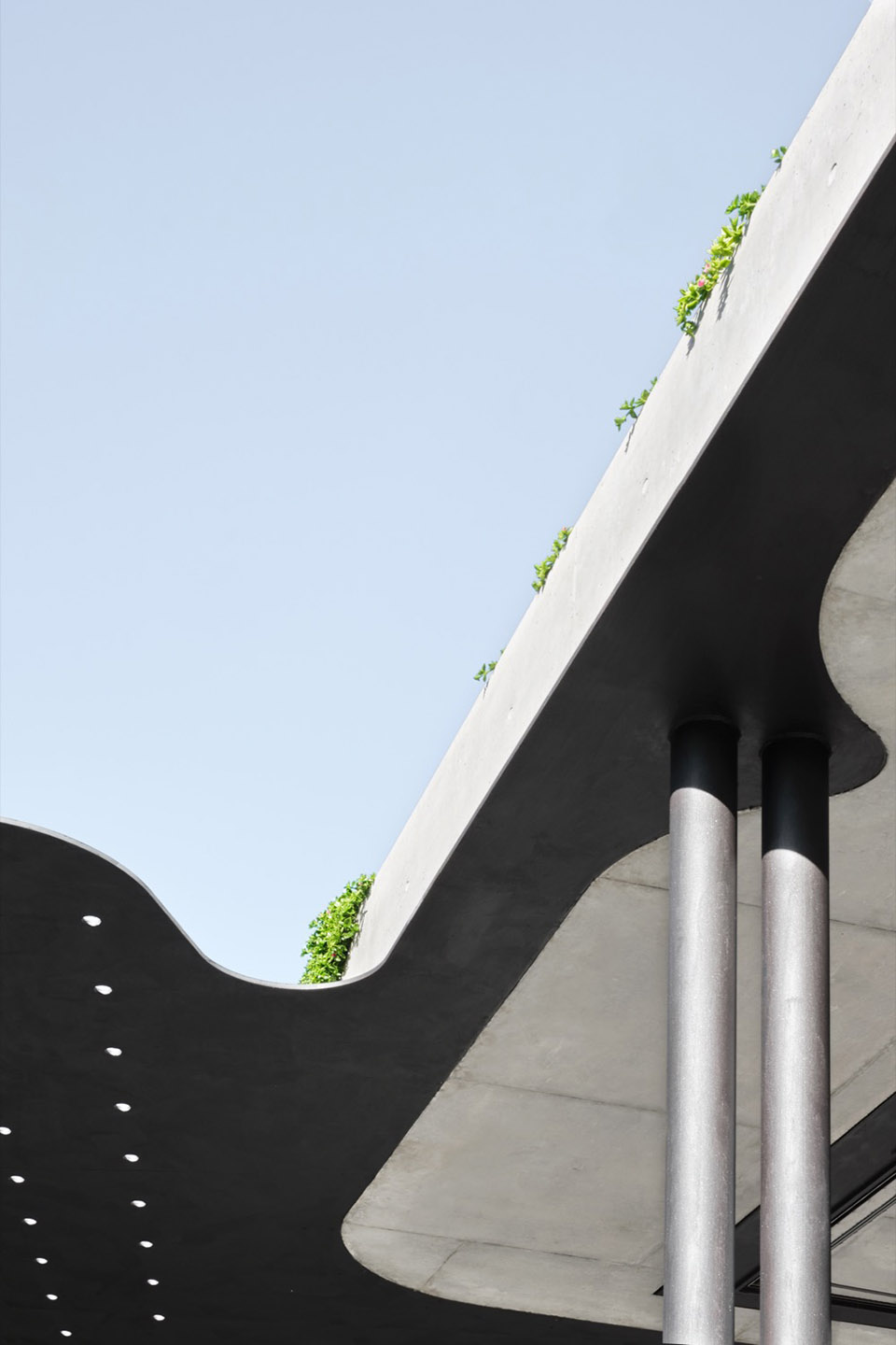 Mosman 住宅改造丨澳大利亚丨Tribe Studio Architects-28