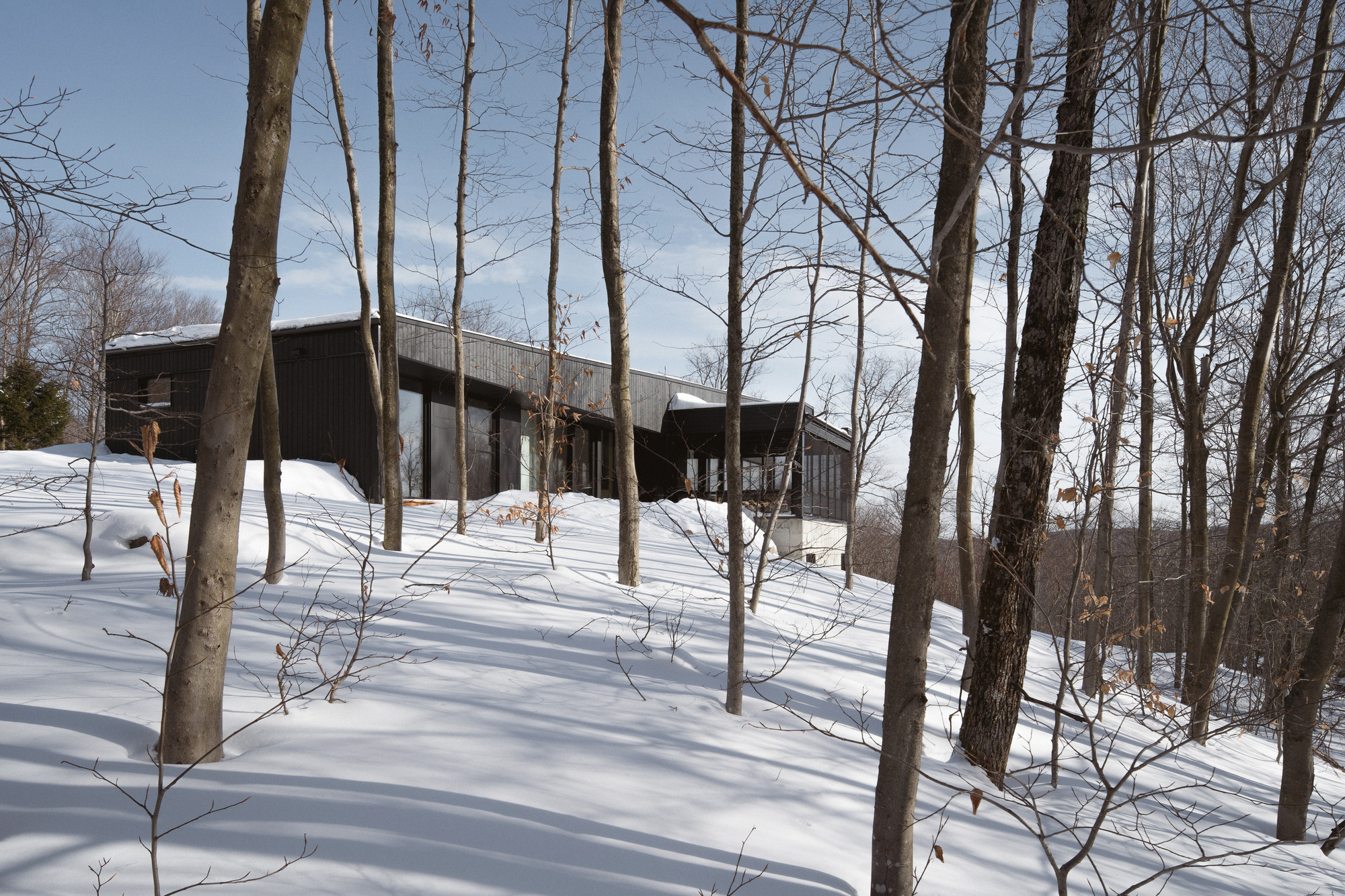 阿利泽公寓丨加拿大魁北克丨Atelier BOOMTOWN-31