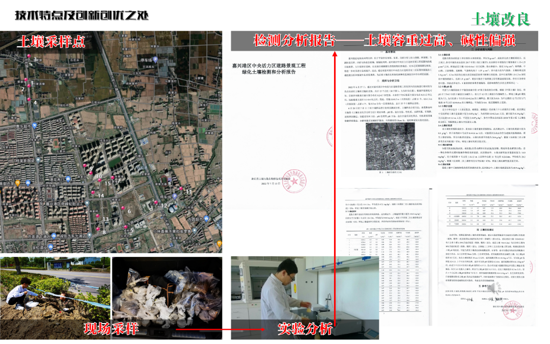 2024年度院优项目|嘉兴港区中央活力区道路景观设计实践——滨海盐碱地生态修复与城市美学融合的典范之作-14