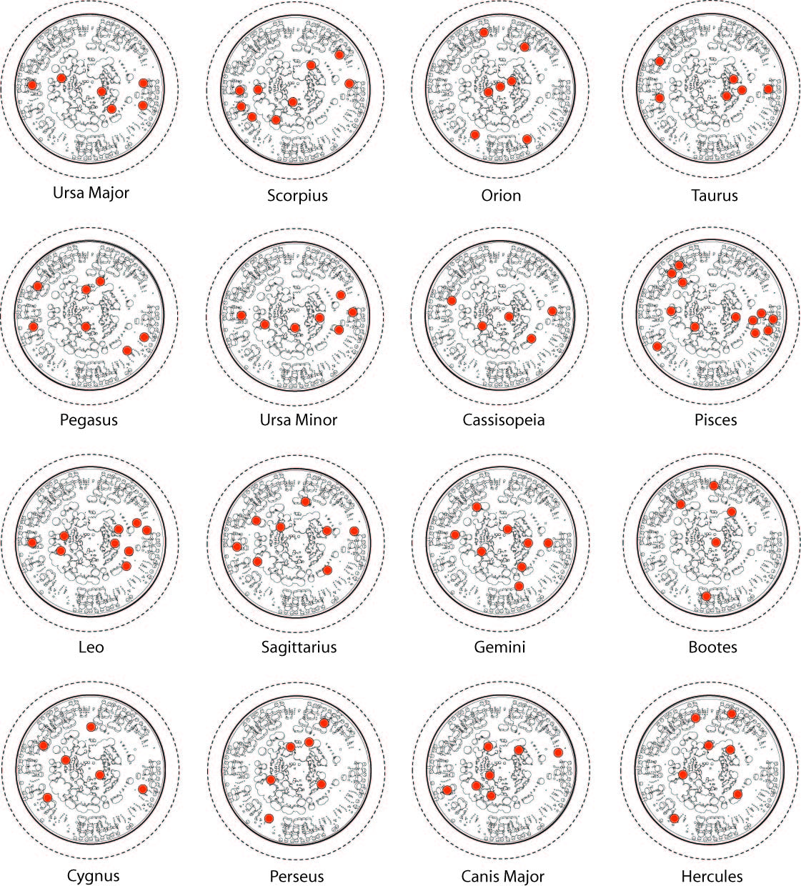 Star Gardens; Purple Hollow — endemicarchitecture-10