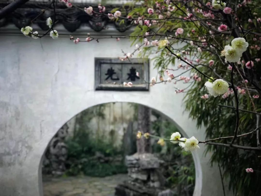 窗景如诗 | 四季园林,诗意生活-32