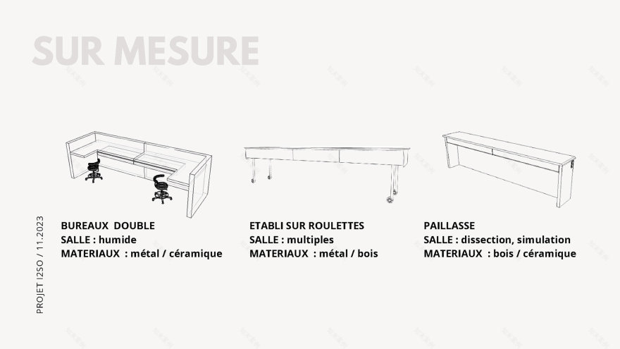 I2SO 大学口腔学院丨法国图卢兹-61