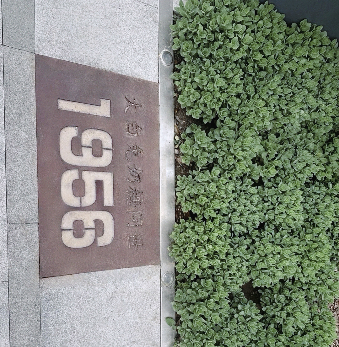 “15分钟美好生活圈”推窗见绿|华建集团环境院助力桂林公园地铁站绿地焕新-194